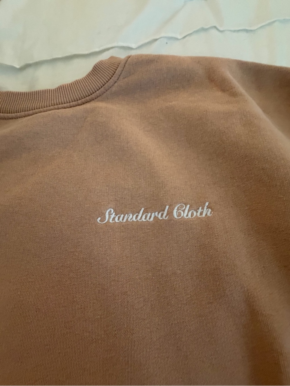 Urban Outfitters Standard Cloth Men’s Crewneck Sweatshirt in Dusty Rose